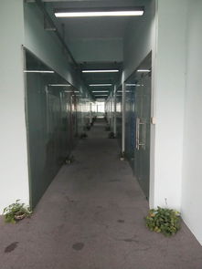 荷坳地鐵口二樓精裝修廠房價