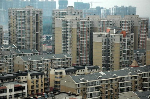 東莞將成為下一個燕郊 環大都市的房價該何去何從